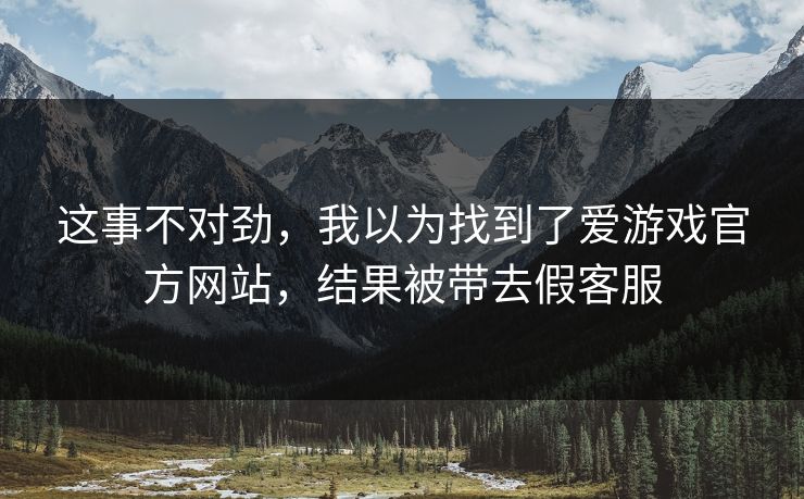 这事不对劲，我以为找到了爱游戏官方网站，结果被带去假客服