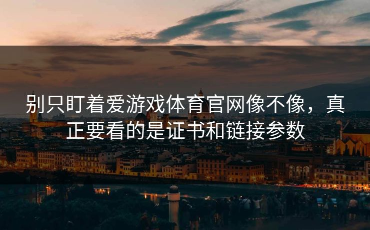 别只盯着爱游戏体育官网像不像，真正要看的是证书和链接参数