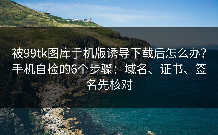 被99tk图库手机版诱导下载后怎么办？手机自检的6个步骤：域名、证书、签名先核对