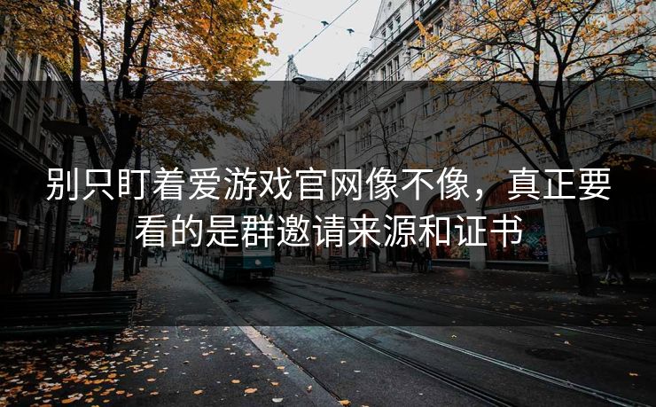 别只盯着爱游戏官网像不像，真正要看的是群邀请来源和证书