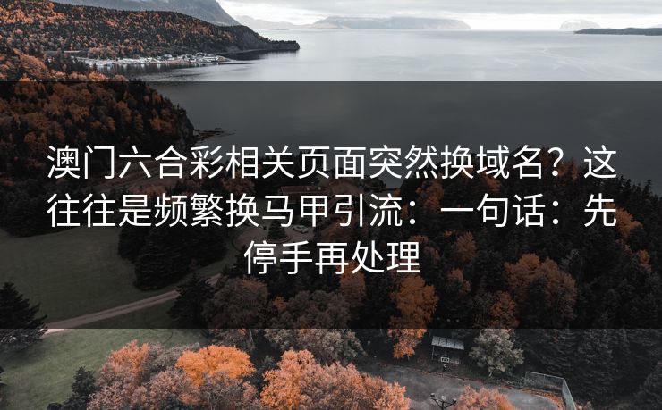 澳门六合彩相关页面突然换域名？这往往是频繁换马甲引流：一句话：先停手再处理